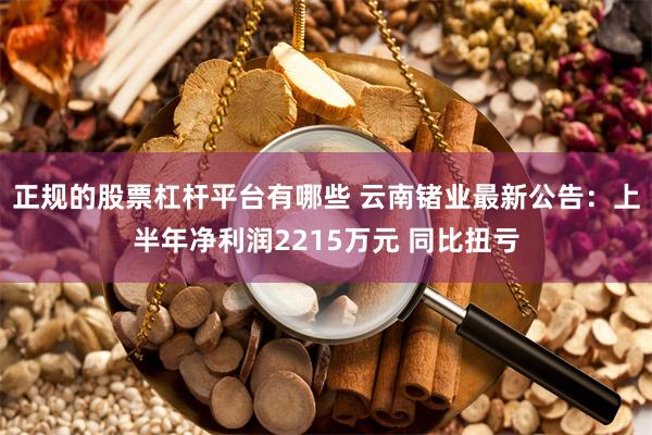正规的股票杠杆平台有哪些 云南锗业最新公告:上半年净利润2215万元 同比扭亏