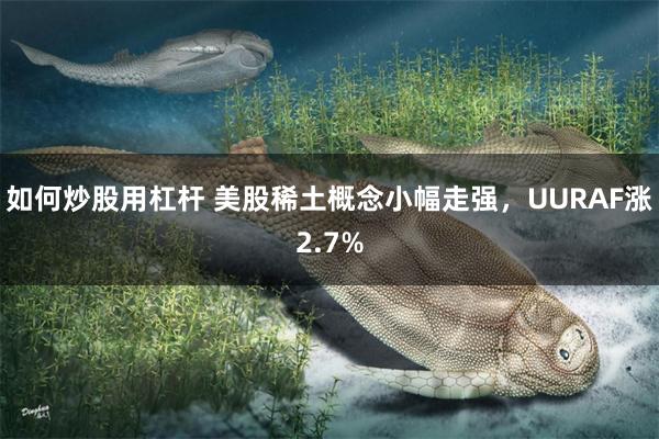 如何炒股用杠杆 美股稀土概念小幅走强，UURAF涨2.7%