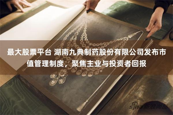 最大股票平台 湖南九典制药股份有限公司发布市值管理制度，聚焦主业与投资者回报