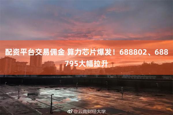 配资平台交易佣金 算力芯片爆发！688802、688795大幅拉升