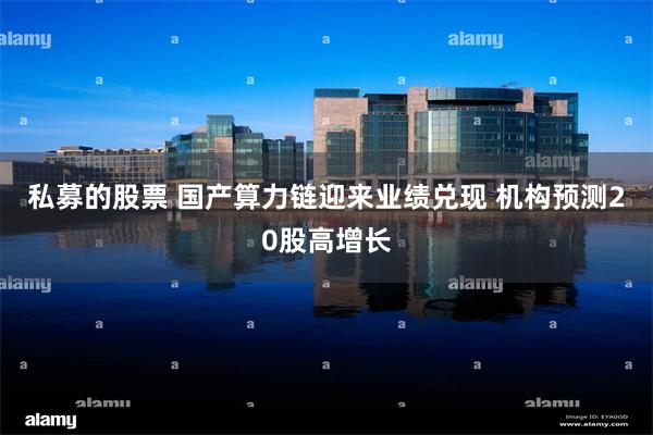 私募的股票 国产算力链迎来业绩兑现 机构预测20股高增长