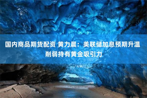 国内商品期货配资 黄力晨：美联储加息预期升温 削弱持有黄金吸引力