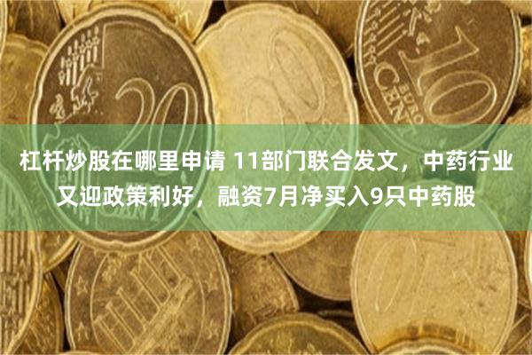 杠杆炒股在哪里申请 11部门联合发文，中药行业又迎政策利好，融资7月净买入9只中药股