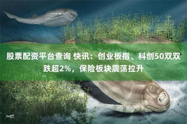 股票配资平台查询 快讯：创业板指、科创50双双跌超2%，保险板块震荡拉升